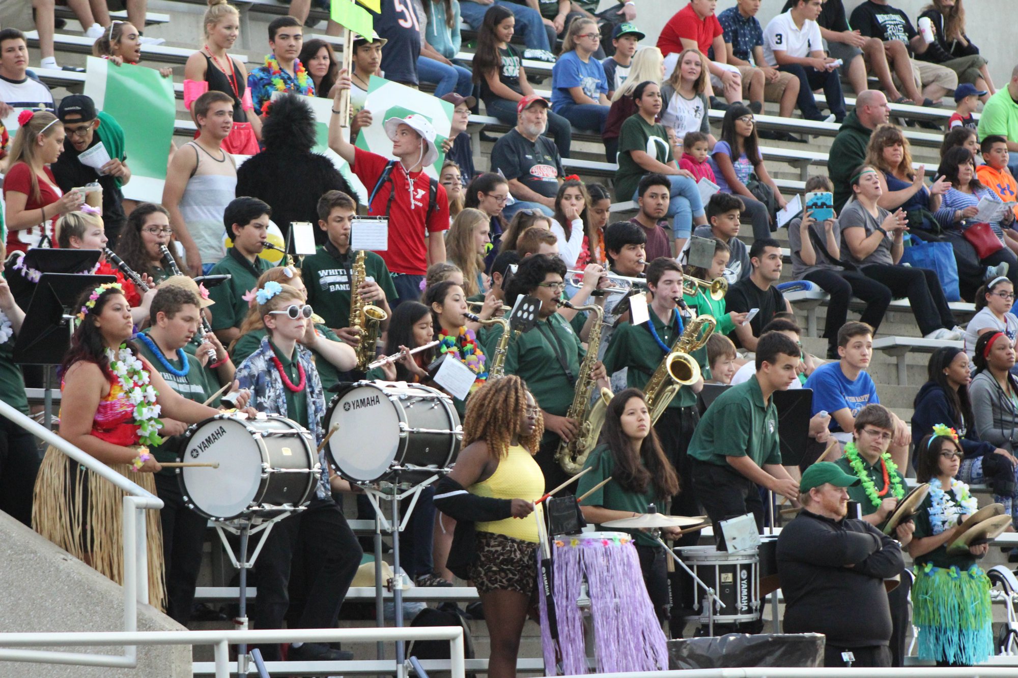 The school band and supporters fill a section of the stands.
